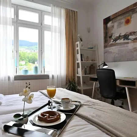 Luxury Urban Oasis Center Saraievo